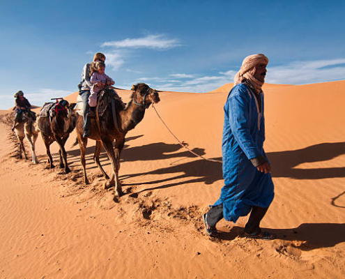 Camel trekking
